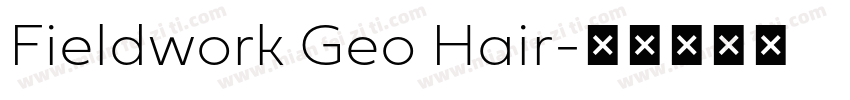 Fieldwork Geo Hair字体转换